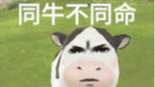 SQL 性能避坑：为什么阿里强制禁用 ORDER BY RAND()？
